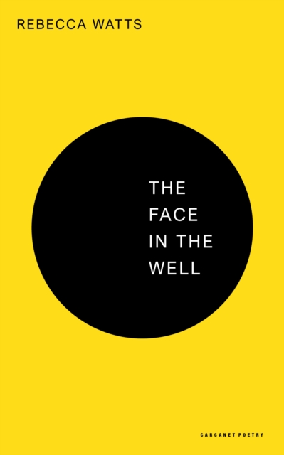 Image for The Face in the Well