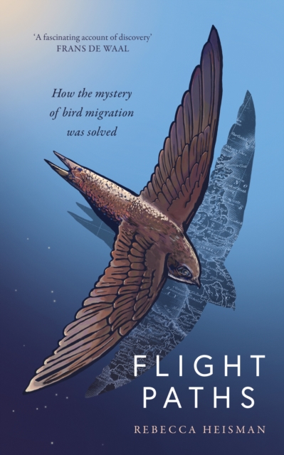 Image for Flight Paths : How the mystery of bird migration was solved