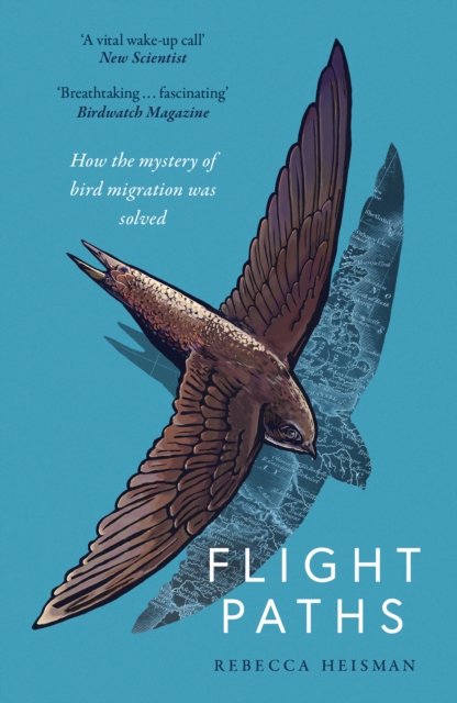 Image for Flight Paths : How the mystery of bird migration was solved