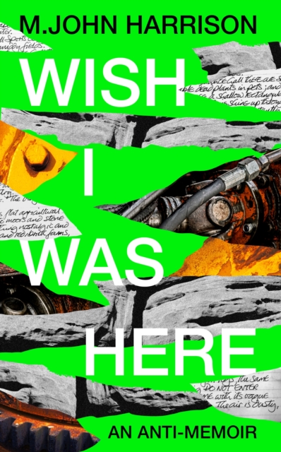Cover for: Wish I Was Here