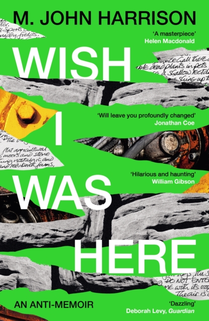 Image for Wish I Was Here 