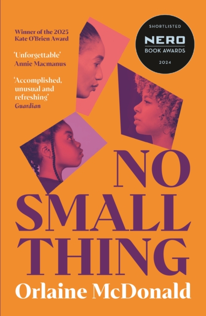Image for No Small Thing