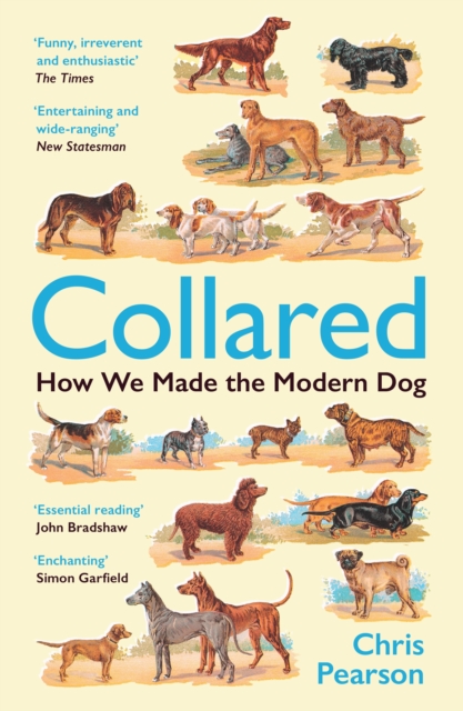 Image for Collared : How We Made the Modern Dog