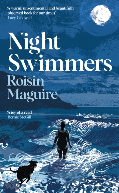 Image for Night Swimmers