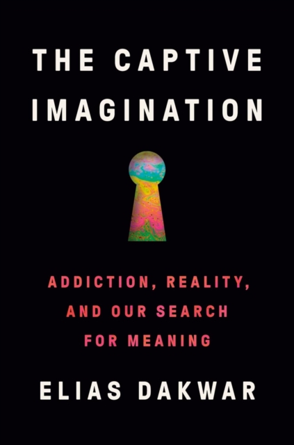 Image for The Captive Imagination : Addiction, Reality and our Search for Meaning