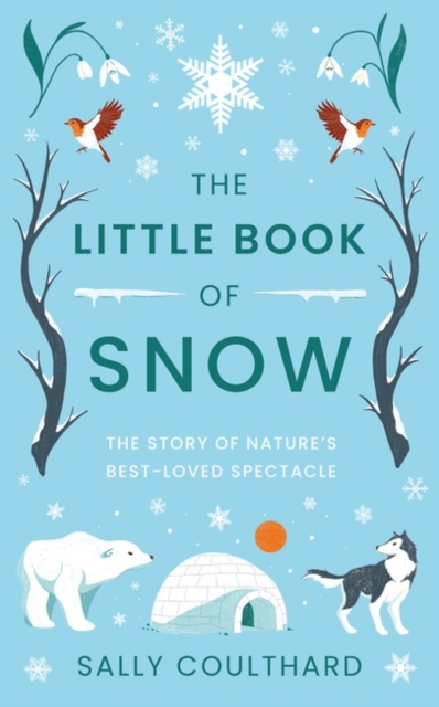 Image for The Little Book of Snow