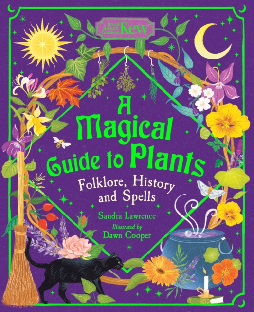 Image for A Magical Guide to Plants : Folklore, History and Spells