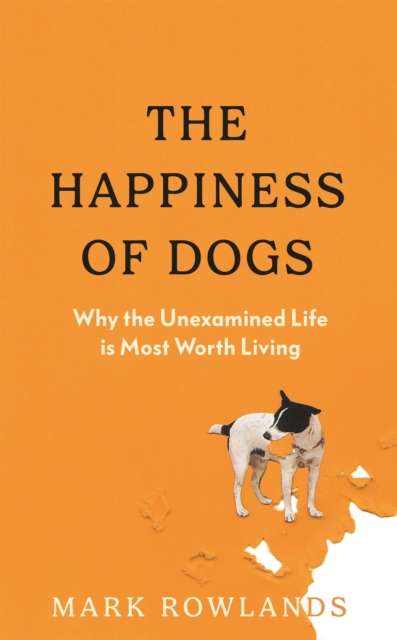 Image for The Happiness of Dogs : Why the Unexamined Life Is Most Worth Living