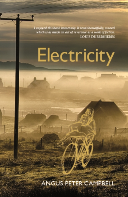 Image for Electricity