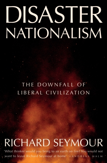 Image for Disaster Nationalism : The Downfall of Liberal Civilization