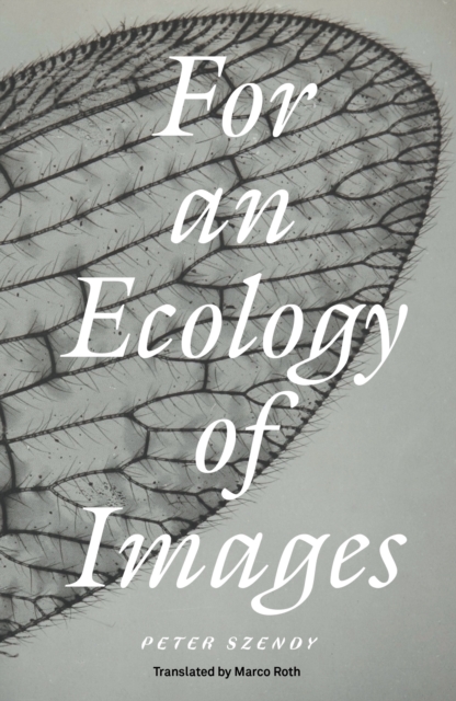 Image for For an Ecology of Images