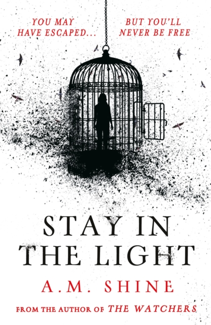 Image for Stay in the Light