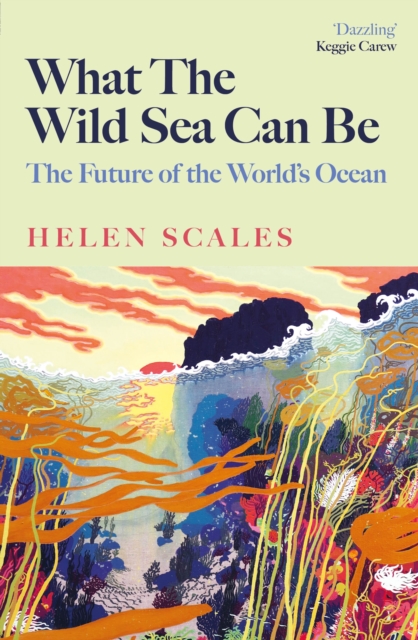 Cover for: What the Wild Sea Can Be : The Future of the World's Ocean
