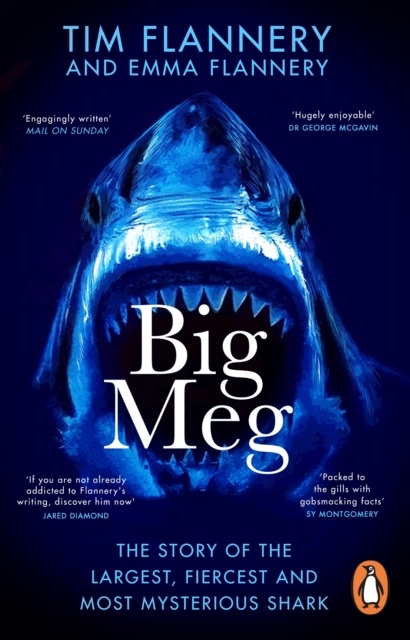 Image for Big Meg : The Story of the Largest, Fiercest and Most Mysterious Shark