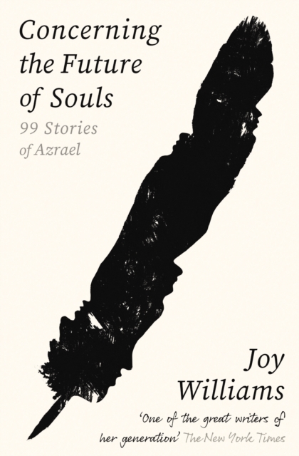 Image for Concerning the Future of Souls : Ninety-Nine Stories of Azrael