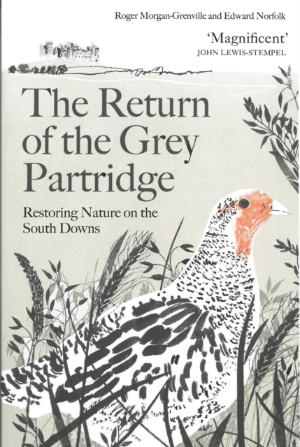 Image for The Return of the Grey Partridge : Restoring Nature on the South Downs