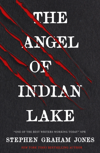 Cover for: The Angel of Indian Lake