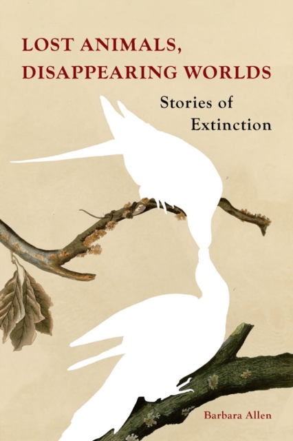Image for Lost Animals, Disappearing Worlds : Stories of Extinction