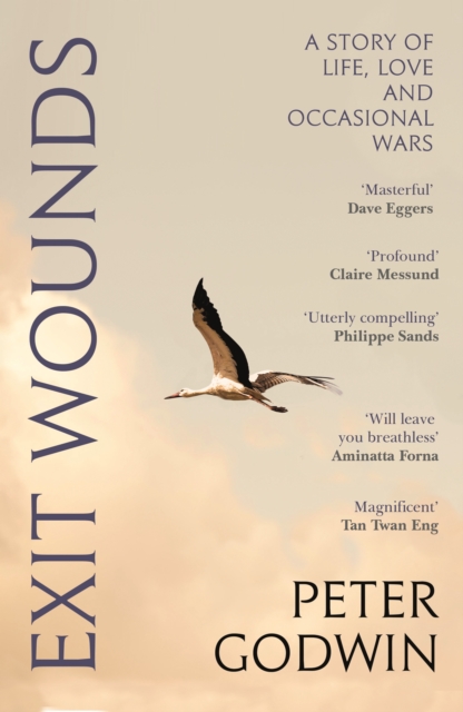 Image for Exit Wounds : A Story of Love, Loss and Occasional Wars