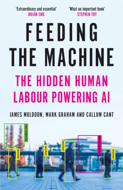 Image for Feeding the Machine : The Hidden Human Labour Powering AI