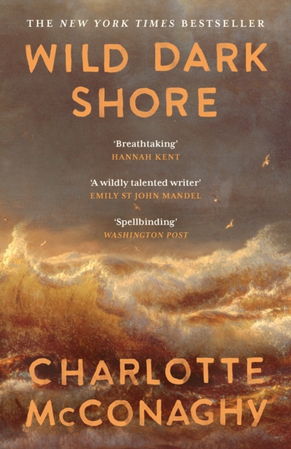 Image for Wild Dark Shore