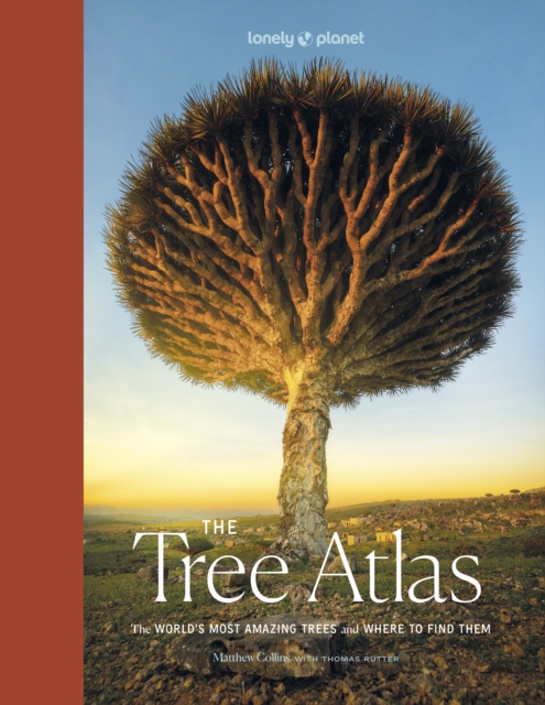 Cover for: Lonely Planet The Tree Atlas