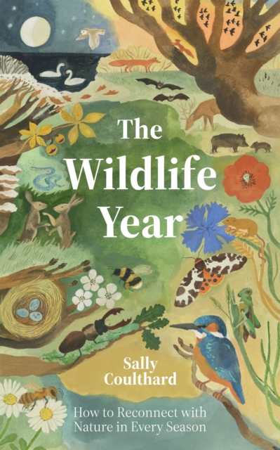 Image for The Wildlife Year : How to Reconnect with Nature Through the Seasons