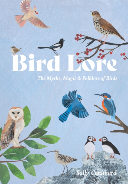 Image for Bird Lore : The Myths, Folklore and Meaning of Birds