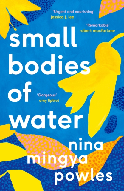 Cover for: Small Bodies of Water