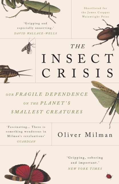 Cover for: The Insect Crisis : Our Fragile Dependence on the Planet's Smallest Creatures