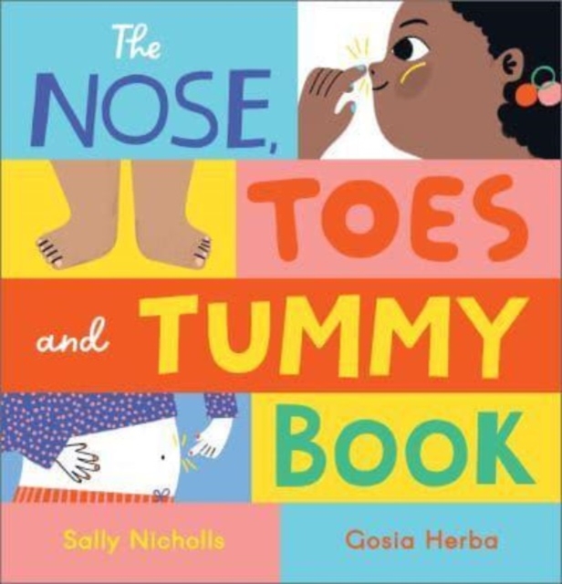 Image for The Nose, Toes and Tummy Book