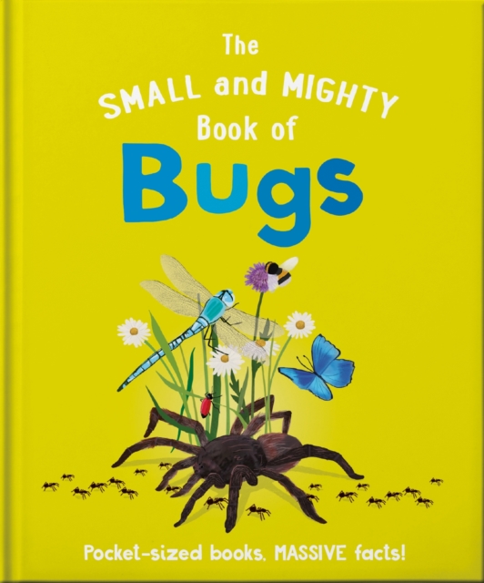 Image for The Small and Mighty Book of Bugs : Pocket-sized books, massive facts!