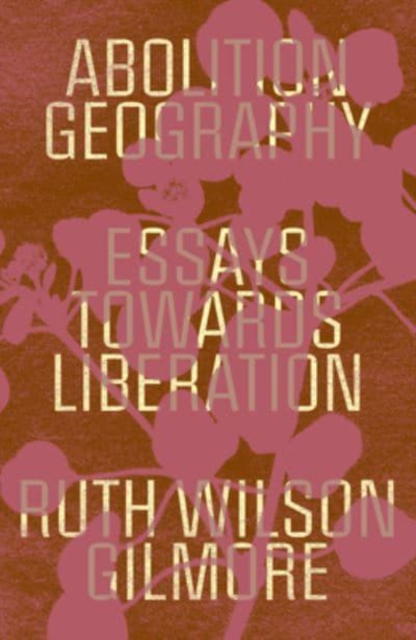 Image for Abolition Geography : Essays Towards Liberation