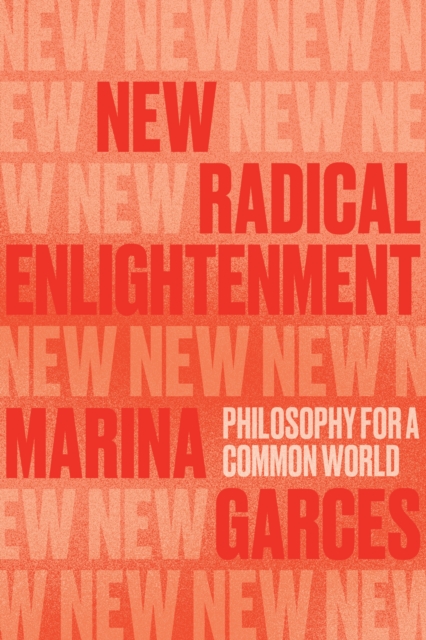 Image for New Radical Enlightenment : Philosophy for a Common World