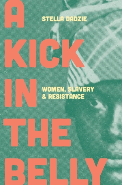 Cover for: A Kick in the Belly : Women, Slavery and Resistance