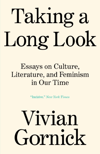 Image for Taking A Long Look : Essays on Culture, Literature, and Feminism in Our Time