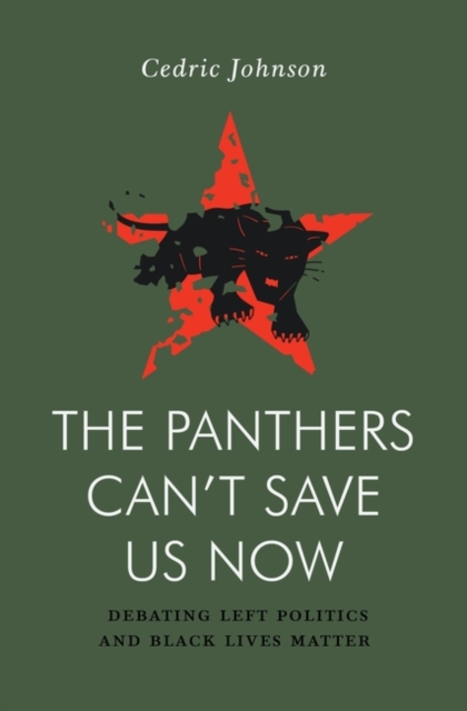 Cover for: The Panthers Can't Save Us Now : Debating Left Politics and Black Lives Matter