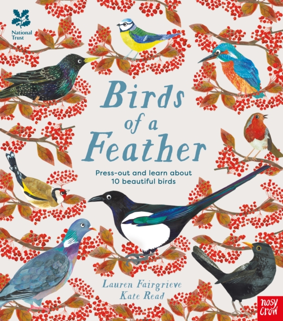 Image for National Trust: Birds of a Feather: Press out and learn about 10 beautiful birds