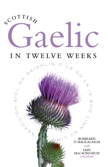 Image for Scottish Gaelic in Twelve Weeks