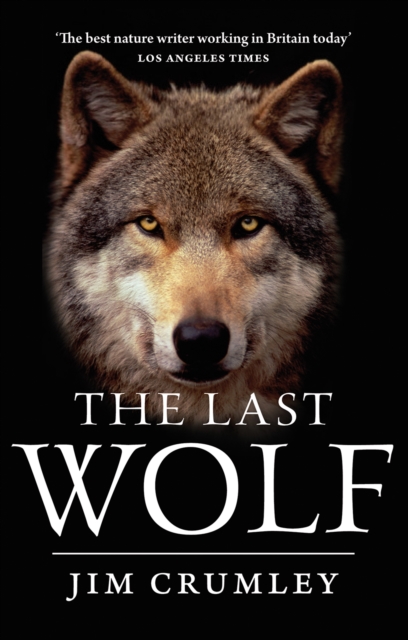 Image for The Last Wolf