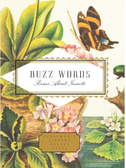 Image for Buzz Words : Poems About Insects