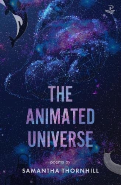 Image for The Animated Universe
