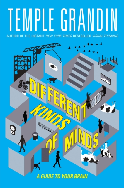 Image for Different Kinds of Minds : A Guide to Your Brain