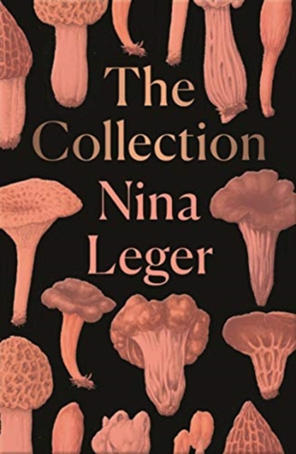 Cover for: The Collection