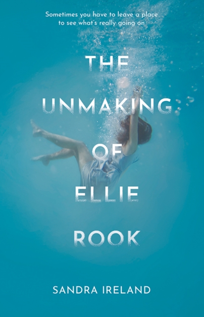 Image for The Unmaking of Ellie Rook