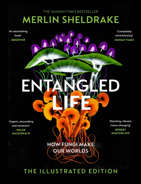 Image for Entangled Life : How Fungi Make Our Worlds, Change Our Minds and Shape Our Futures - The Illustrated Edition