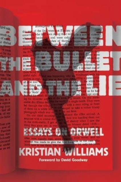 Image for Between The Bullet And The Lie : Essays on Orwell