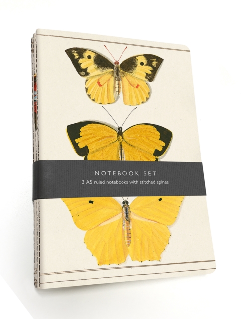 Image for Butterfly Notebook Set : 3 A5 lined notebooks with stitched spines