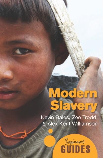 Image for Modern Slavery : A Beginner's Guide