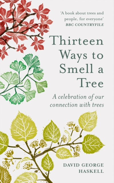 Image for Thirteen Ways to Smell a Tree : A celebration of our connection with trees